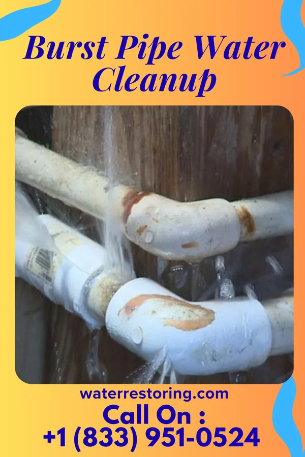 Burst Pipe Water Cleanup in West Baden Springs, IN