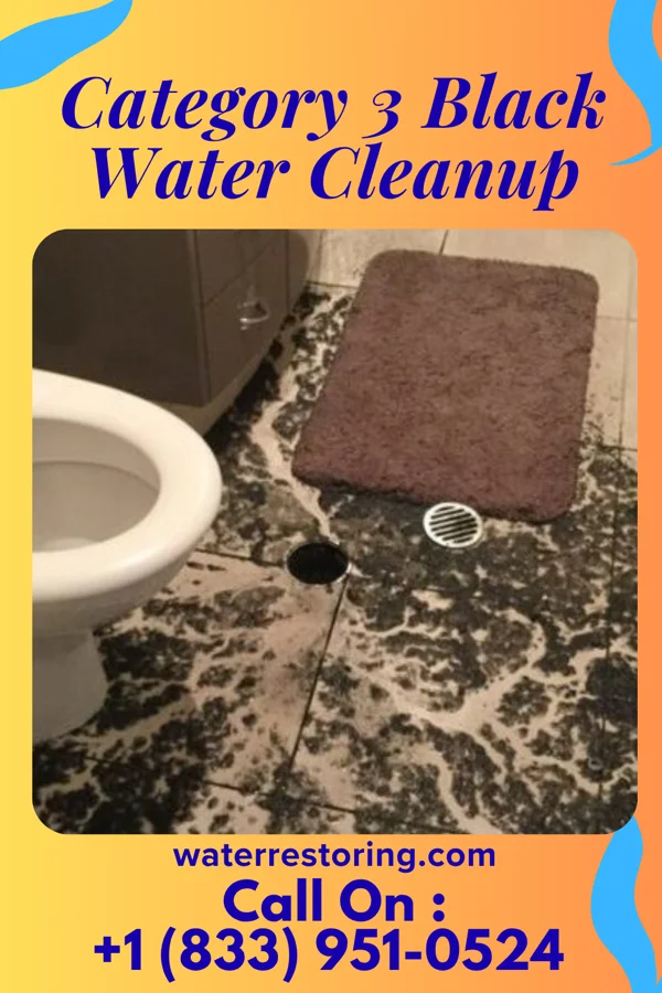 Category 3 Black Water Cleanup in West Baden Springs, IN